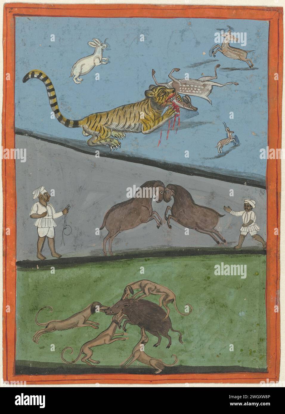 Kampftiere, Anonym, 1800 - 1900 indische Miniatur. Auf grünem, grauem und hellblauem Hintergrund sind alle Arten von Tieren miteinander dargestellt, am Fuße eines Wildschweins in der Mitte, ein paar Widder, die mit den Köpfen gegeneinander gestoßen sind, angeregt von Pferden - gekleidete Reiter und auf der Spitze eines Tigers, der ein Hirsch zerreißt, während ein Hase und zwei Ruten den Tanz entfachen. Um die Show herum ist ein orange-roter Rand mit schwarzem, lose von Hand gesprochenen Rahmen bemalt. Chennai-Papierbürste/-Bürste Stockfoto