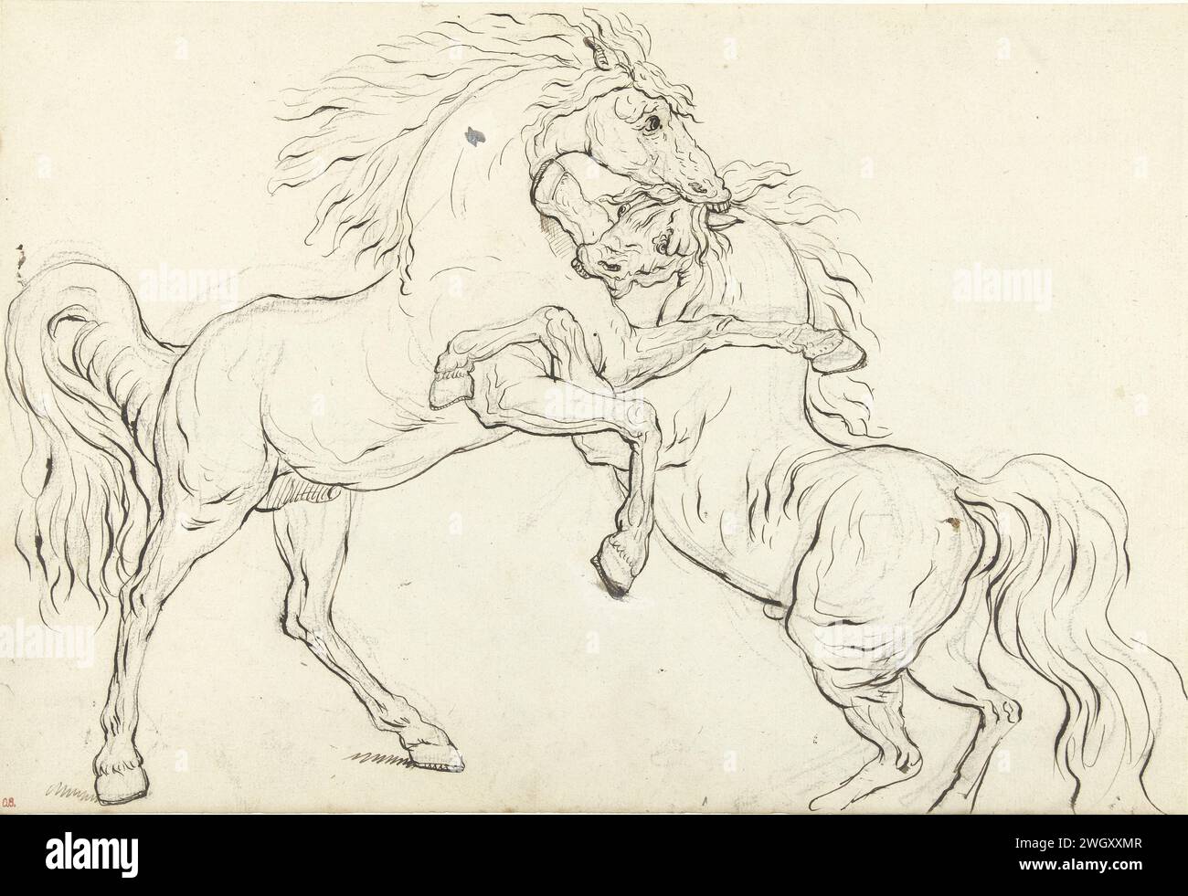 Zwei Kampfhengste, Carle Vernet, nach George Stubbs, nach George Townley Stubbs, 1768–1836 Zeichenpapier. Tinte. Kreidekämpferpferde Stockfoto