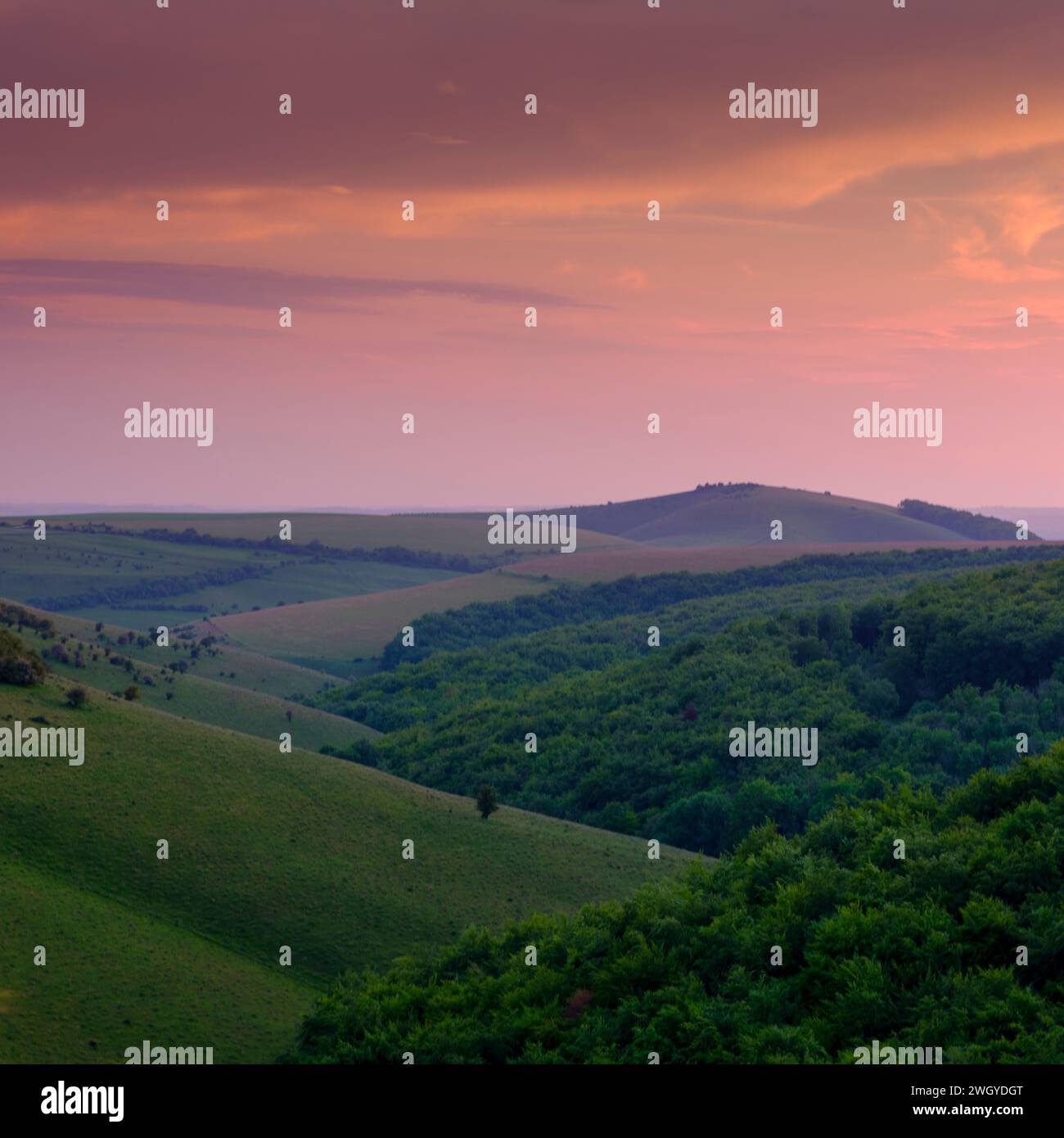 Shaftesbury, Großbritannien – 9. Juni 2023: Sonnenuntergang über Compton Abbas und Melbury Abbas, Cranborne Chase Stockfoto