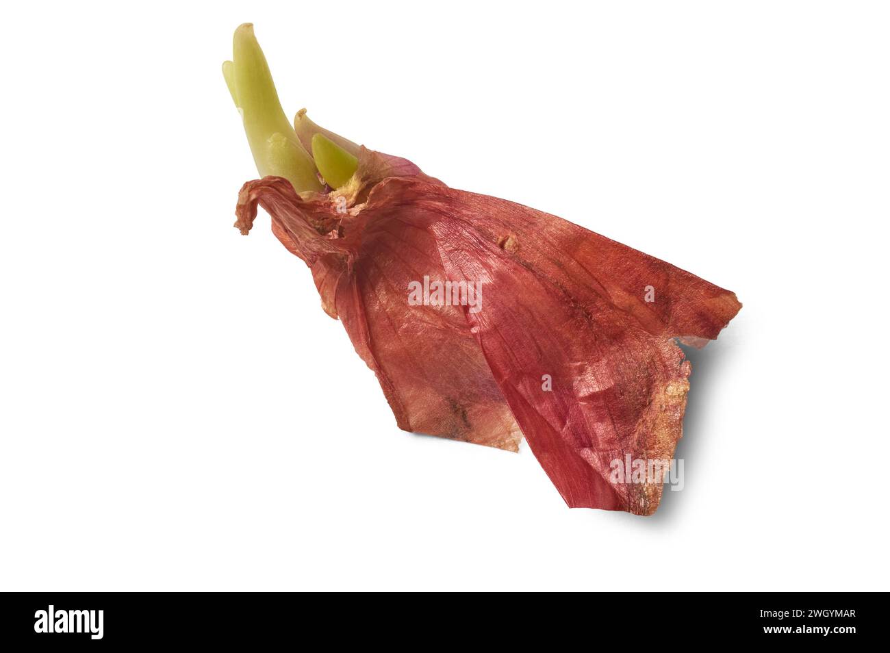 Ackerbau ackerbau anbauen anbauen anbau anbauen anbauen anbauen anbauen ... Ackerbau ackerbau anbauen anbauen anbau anbauen anbauen anbauen anbauen ...