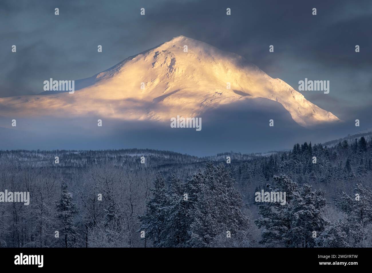 Schneebedeckter Marfjellet-Berg über norwegischem Nadelwald im Winter bei Olsborg, Troms og Finnmark, Norwegen Stockfoto