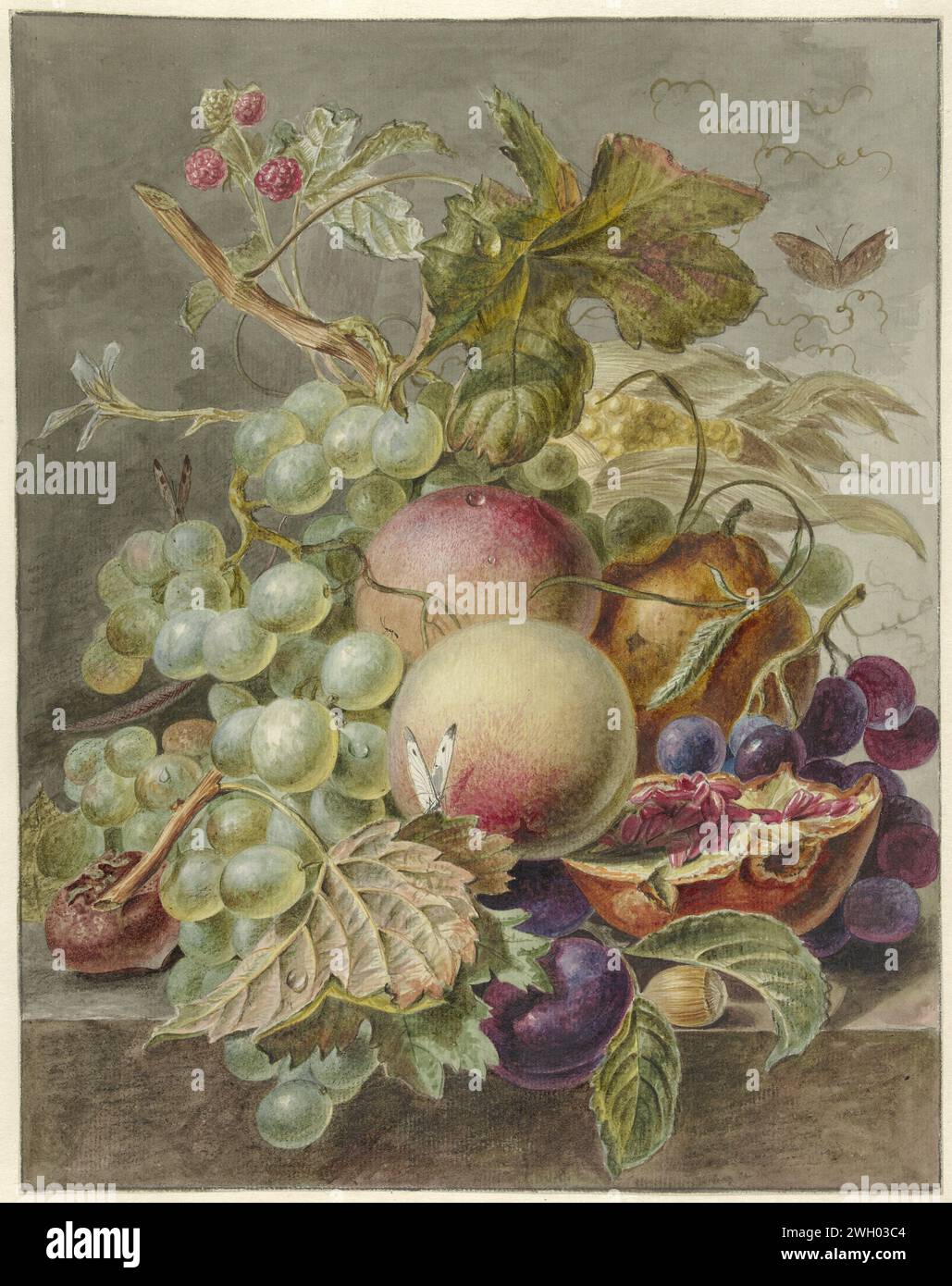 Stillleben mit Früchten, Jan Evert Morel (I), 1779 - 1808 Zeichenpapier. Tinte. Aquarell (Farbe). Kreidestift / Pinselfrucht Stockfoto