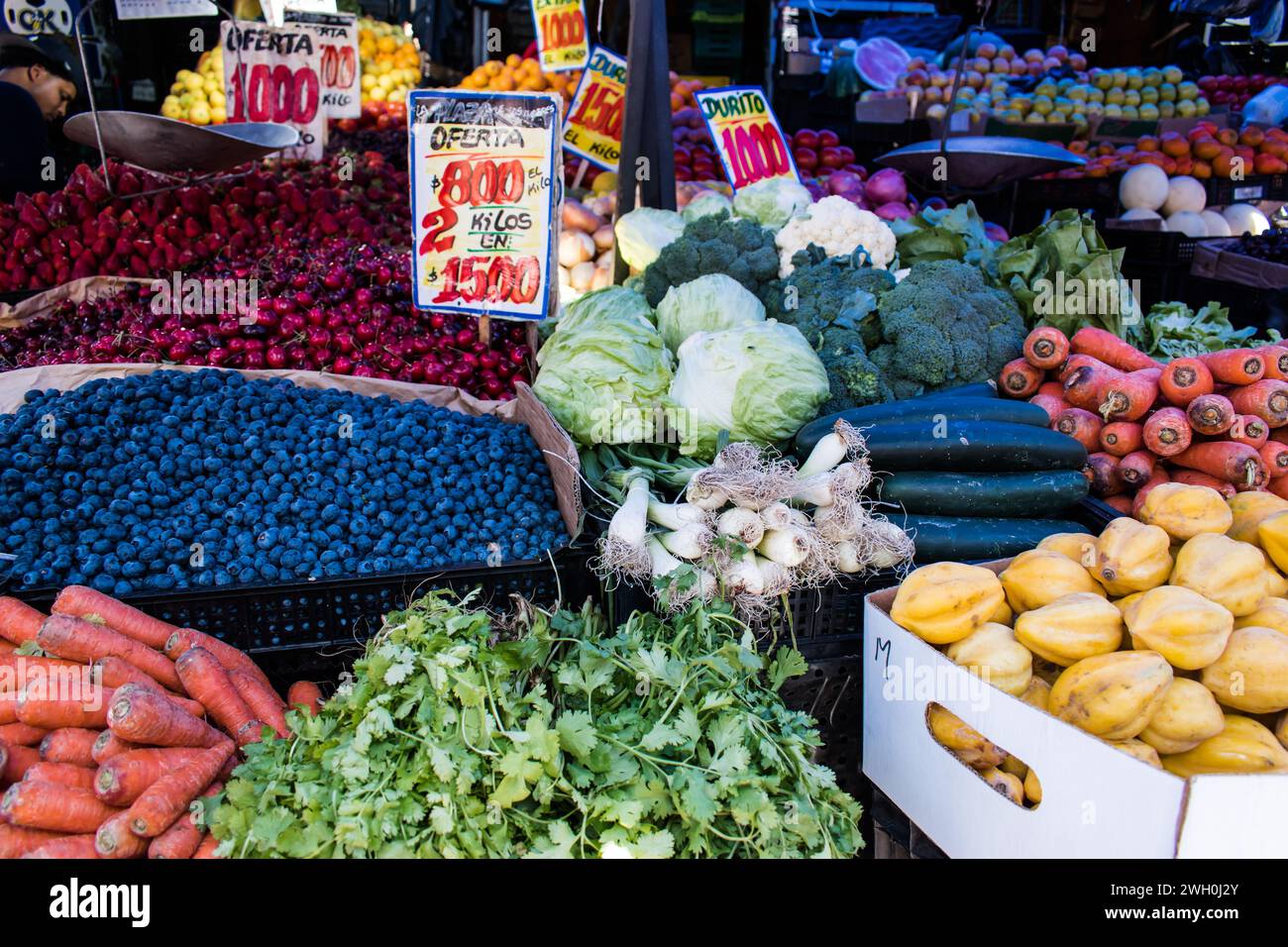 Die Marktstände rund um den Mercado Central in Chile bieten eine lebhafte Auswahl an Waren, darunter frisches Obst und Gemüse. Stockfoto
