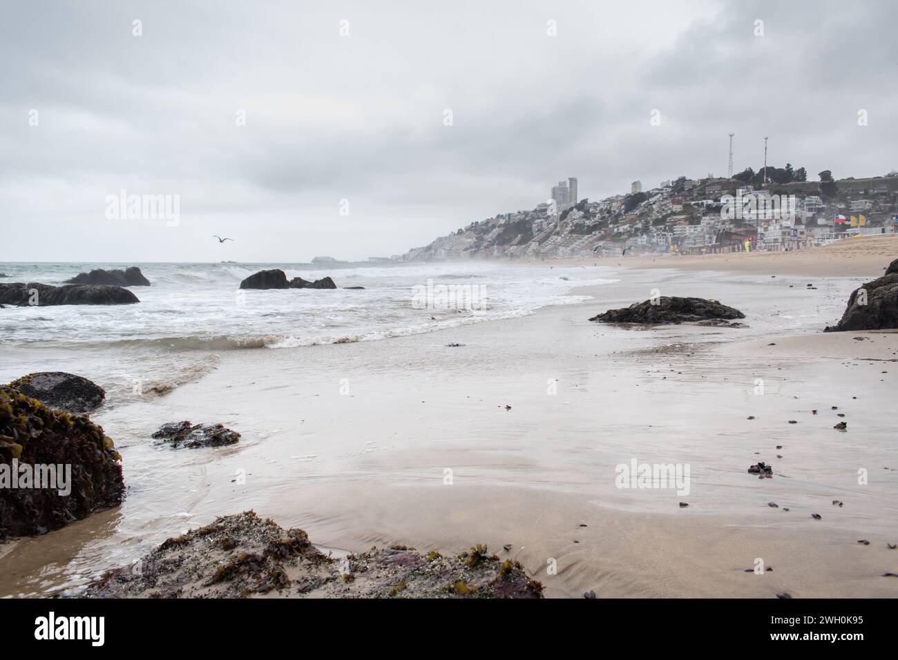 Reñaca, ein beliebtes Touristenziel, vor allem in den Sommermonaten. Es bietet einen atemberaubenden Blick auf die Küste, Sandstrände und eine lebhafte Atmosphäre. Stockfoto