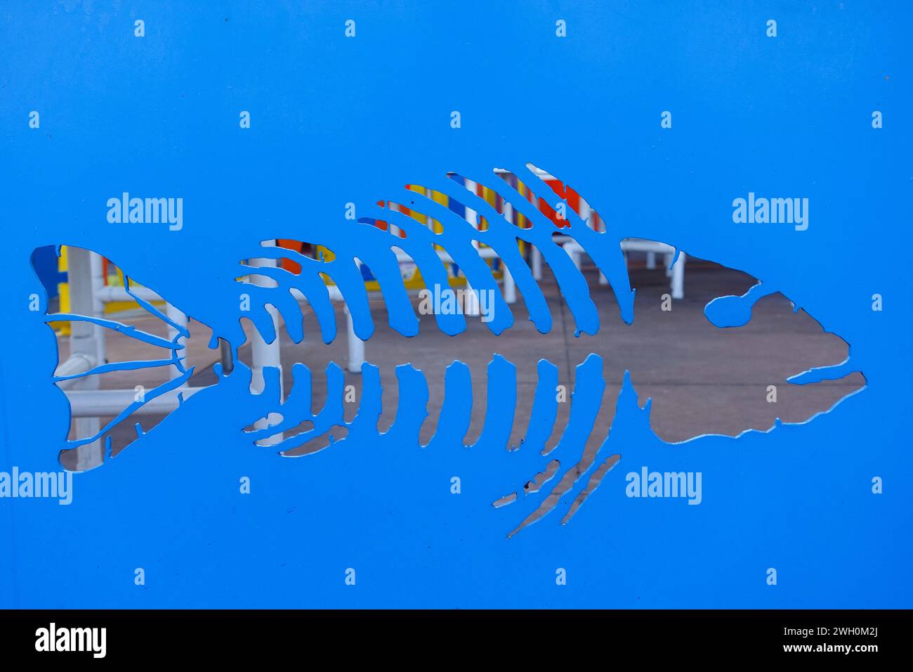 Fischförmiger Ausschnitt auf blauem Hintergrund Stockfoto