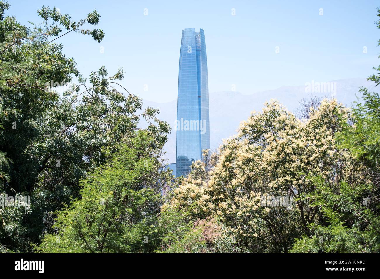 Der Costanera Tower, Chiles berühmtestes Gebäude, hebt sich in den frühen Tagen des Sommers in der Landschaft vom Metropolitan Park von Santiago ab. Stockfoto