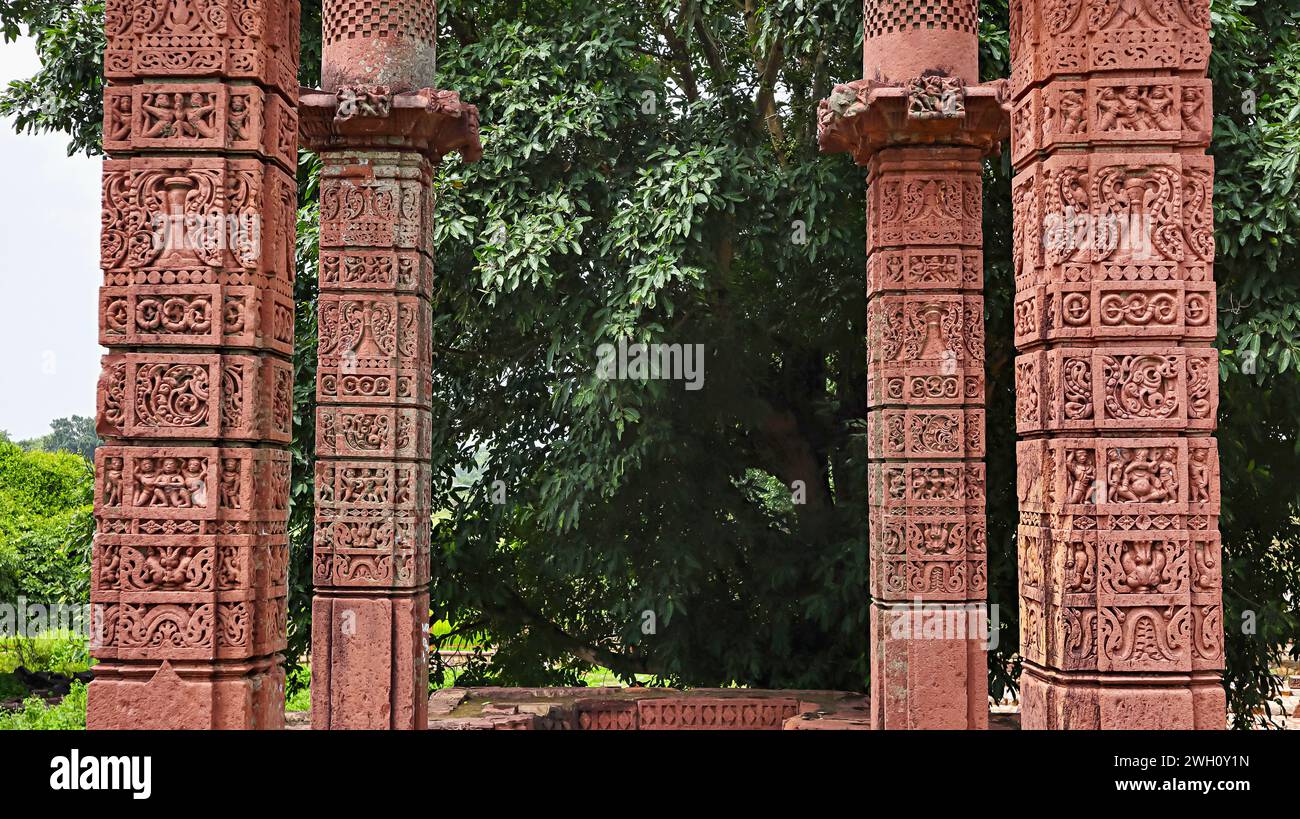 Schnitzereien auf den Säulen des Char Khamba Jain Tempels, Peenjana, Baran, Rajasthan, Indien. Stockfoto