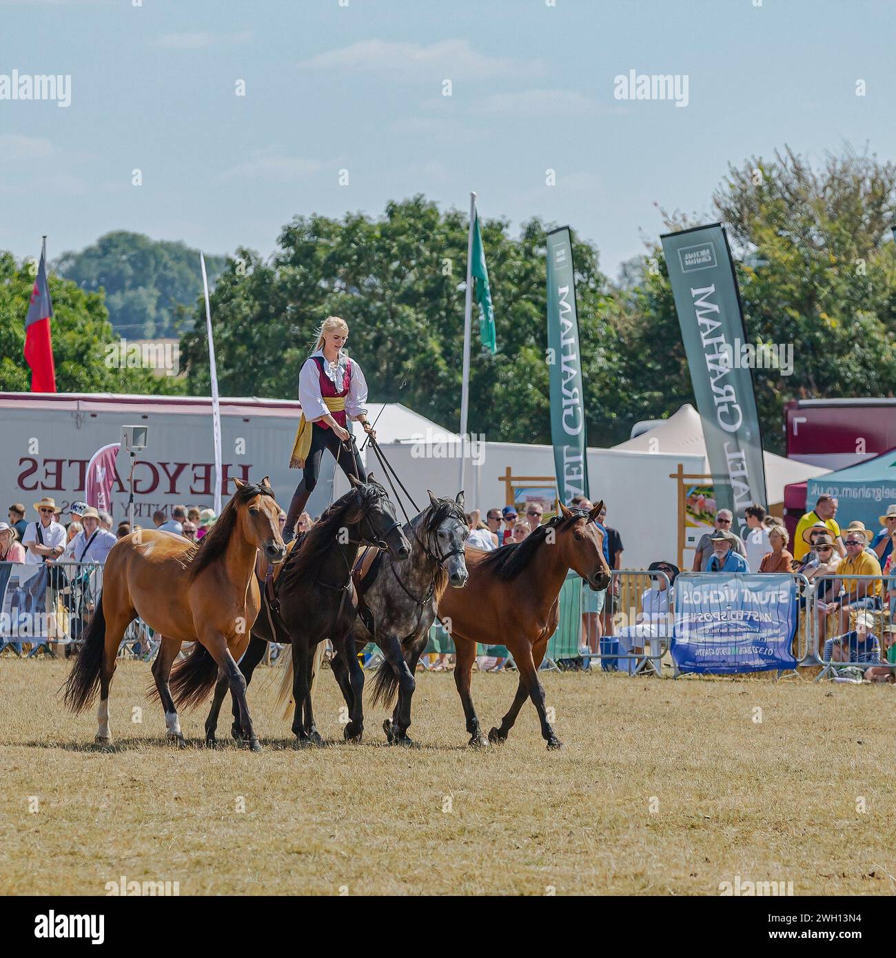 blakesley Show-Stunt Reiter-Stunt Pferde bei einer Show Stockfoto