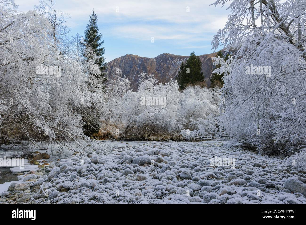 Eine ruhige, frostige Szene entfaltet sich mit einem Fluss, der sich durch einen Wald und Berge unter einem klaren Winterhimmel schlängelt. Stockfoto
