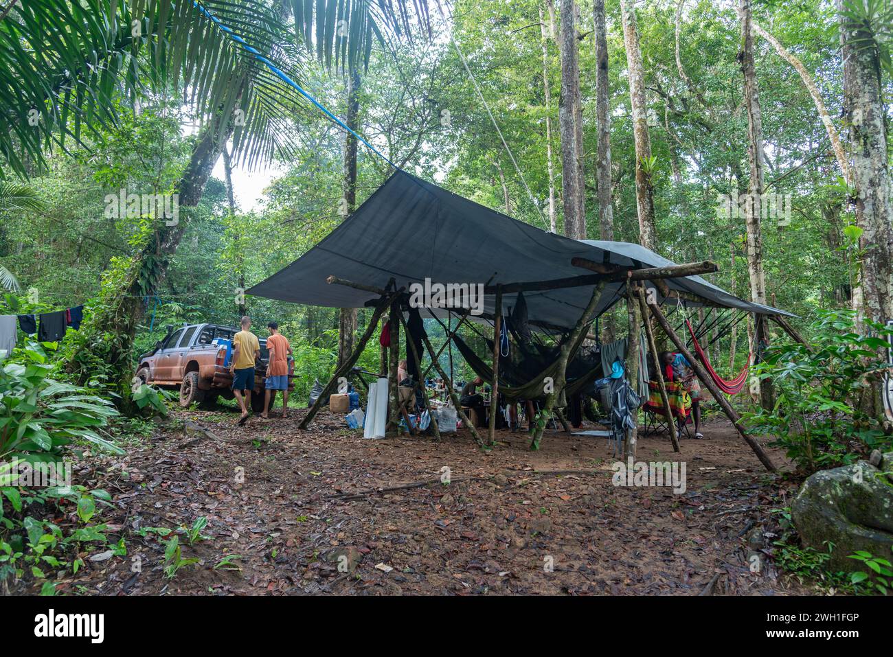 Dschungelexpedition Surinam Stockfoto
