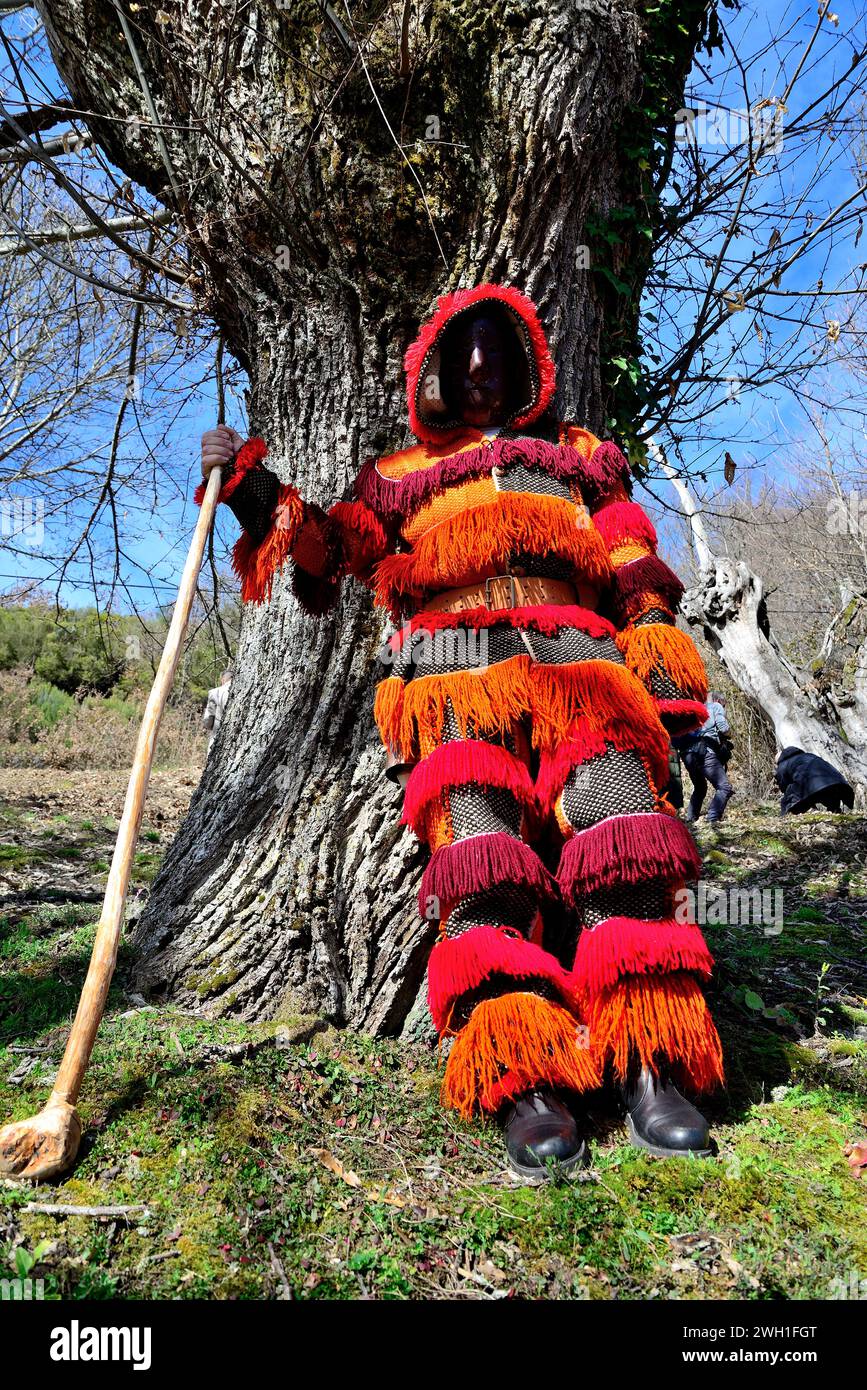 Careto of Arcas, in Vilariño de Conso, Ourense, Spanien Stockfoto