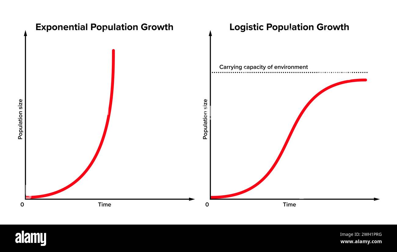 Exponentielles versus logistisches Bevölkerungswachstum. In Wirklichkeit wird das anfängliche exponentielle Wachstum nicht ewig aufrechterhalten. Sie wird durch verschiedene Faktoren gebremst. Stockfoto