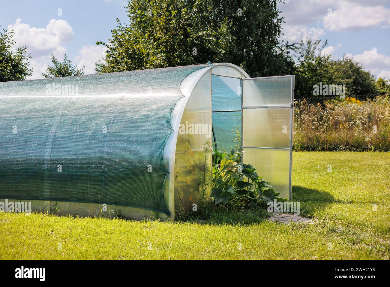 Außenansicht des industriellen Polycarbonat-Gewächshaussolarbogens mit Gemüse, das im Garten wächst. Das Konzept des Anbaus von Kulturen in einem geschlossenen Boden. Stockfoto