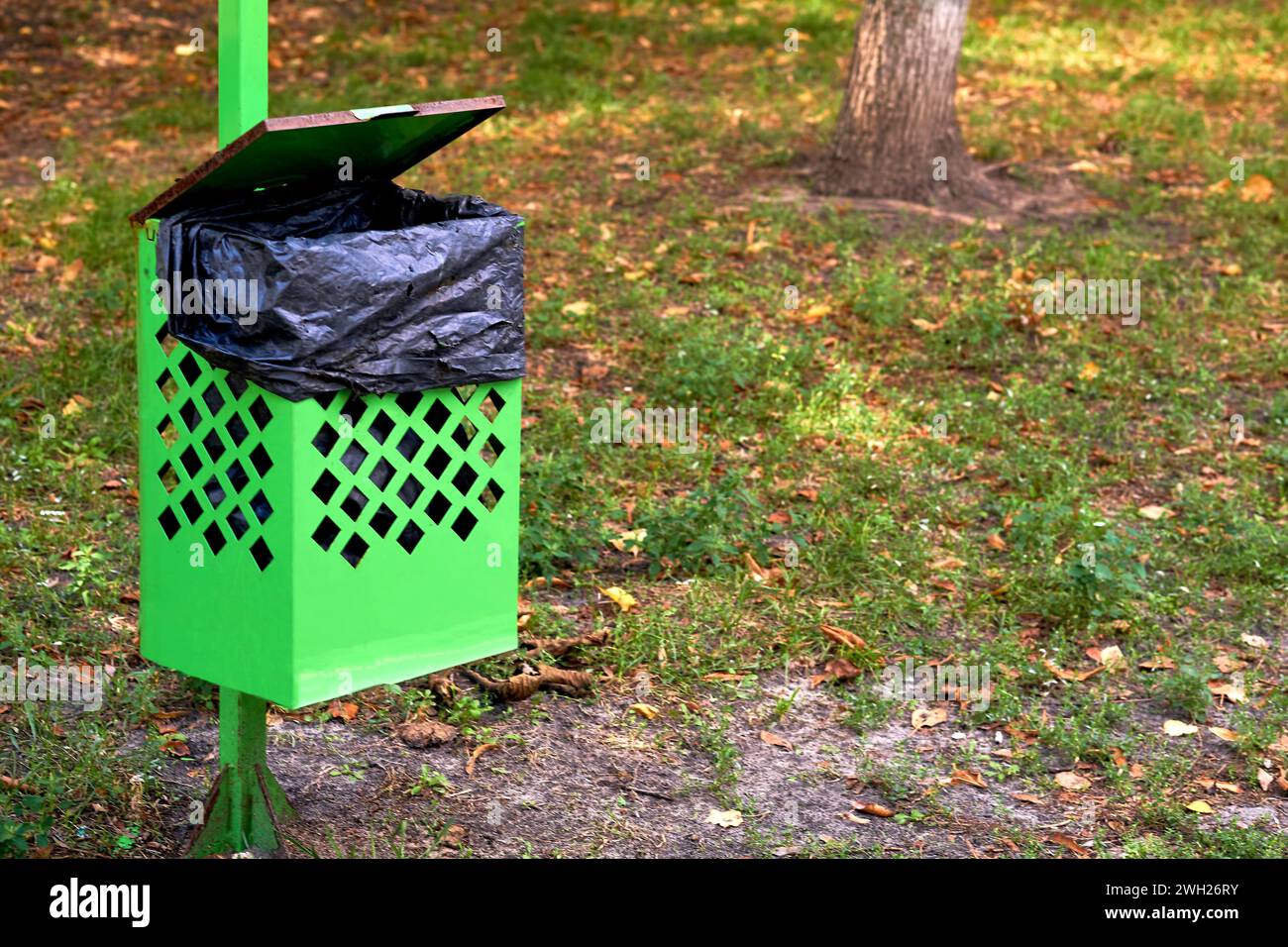 Mülltonne für Tierkot in einem Stadtpark Stockfoto