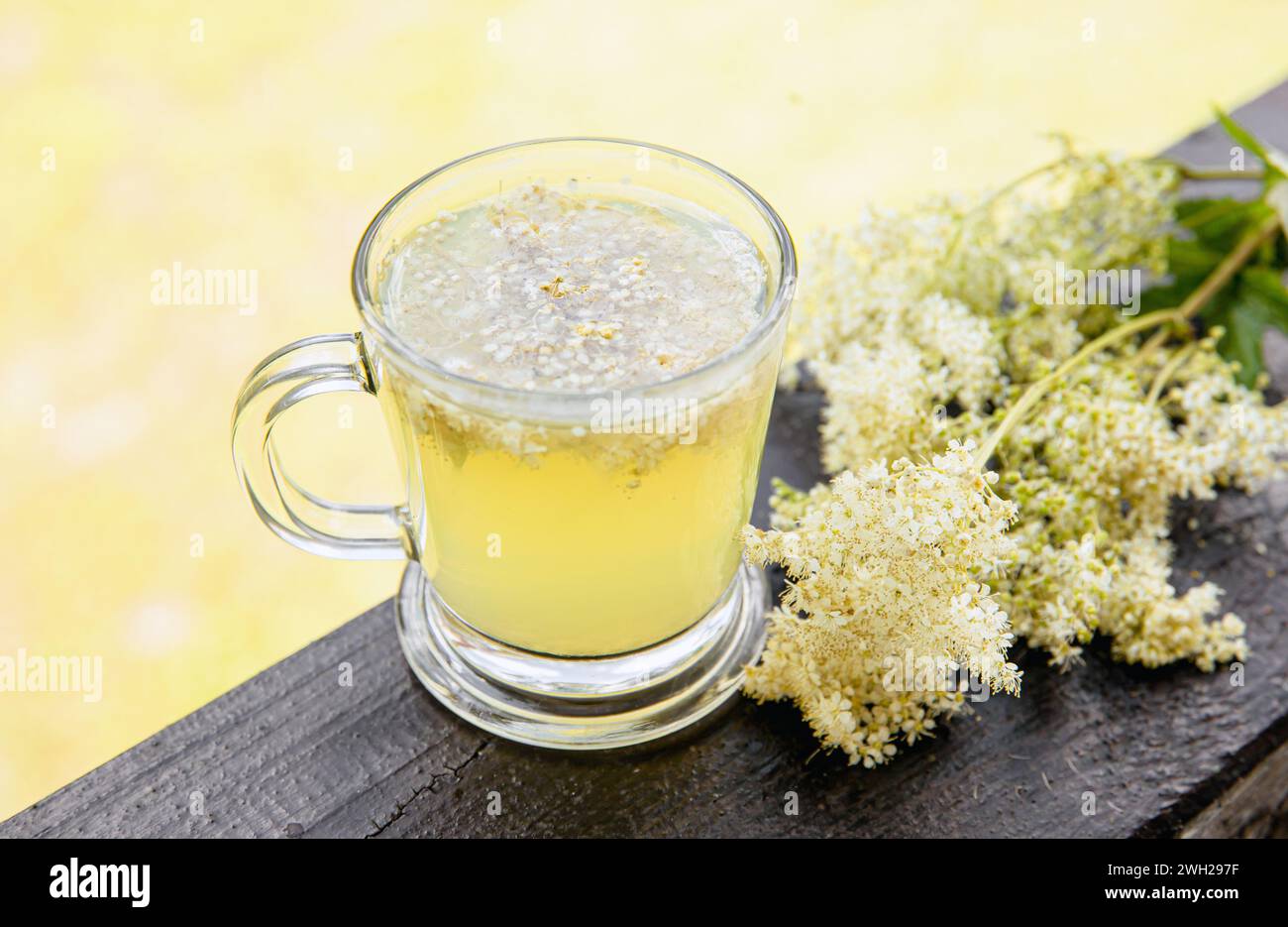Frisches Mädesüß, Filipendula ulmaria Blüten Tee-Aufguss in Teetasse und frisch gepflückte Blüten daneben. Hintergrundbeleuchtung. Stockfoto
