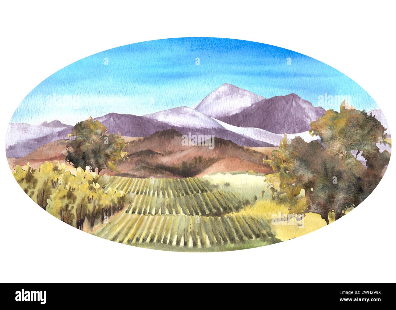 Ovales Etikett für die ländliche Landschaft mit Weinbergen, Weinbergen, Büschen, Bäumen, Traubenpflanzen, blauer Himmel Weinbau Bauernhof Feld Hand zeichnen Aquarell Illustration Stockfoto