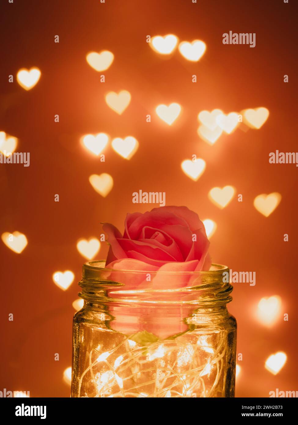 Glasgefäß mit warmem LED-Licht und rosa Rose oben, glänzend im dunklen Hintergrund mit herzförmigem Unschärfe-Bokeh-Licht dekorieren für Valentinstag Stockfoto