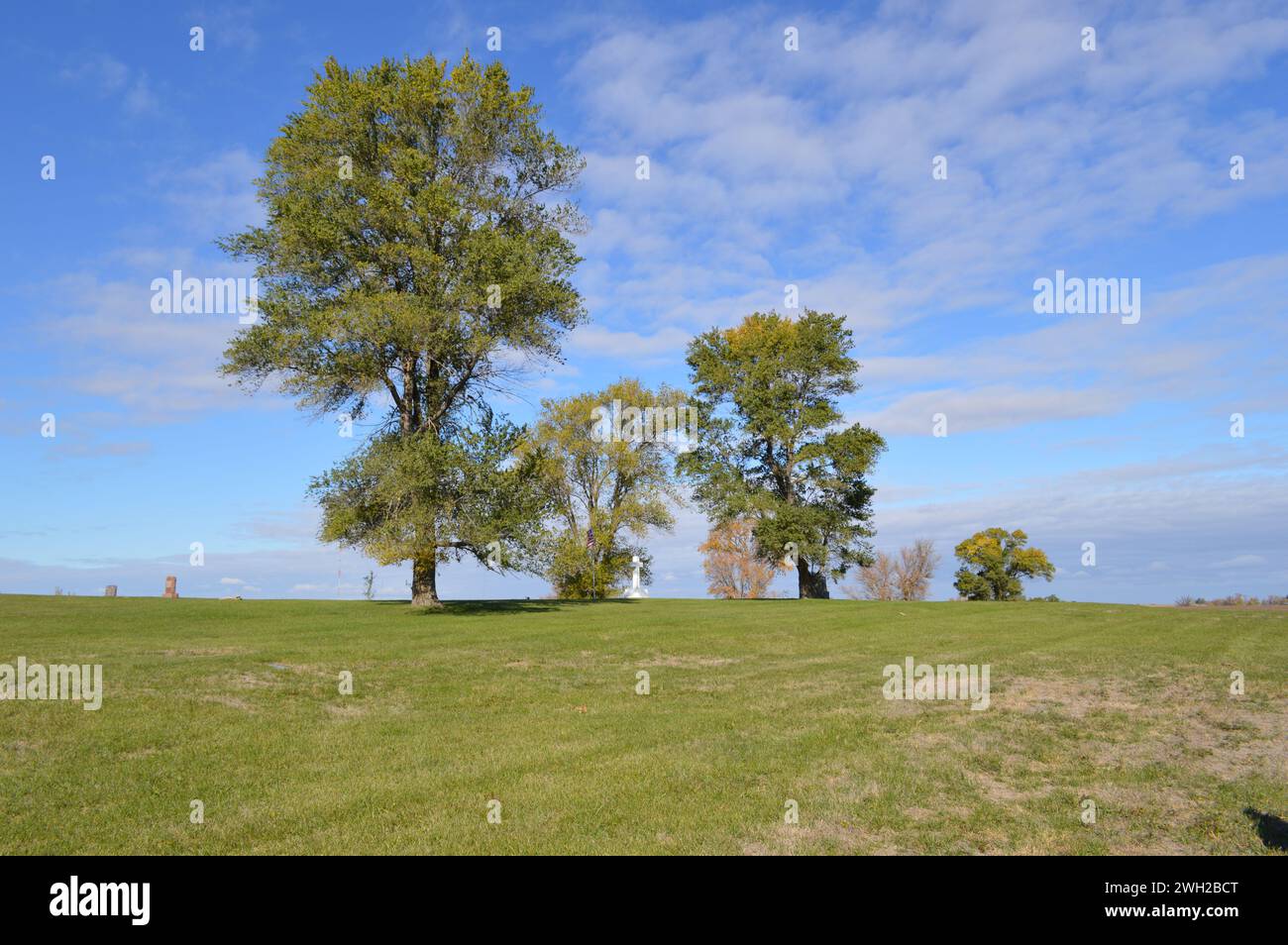Bäume auf dem historischen Friedhof Stockfoto