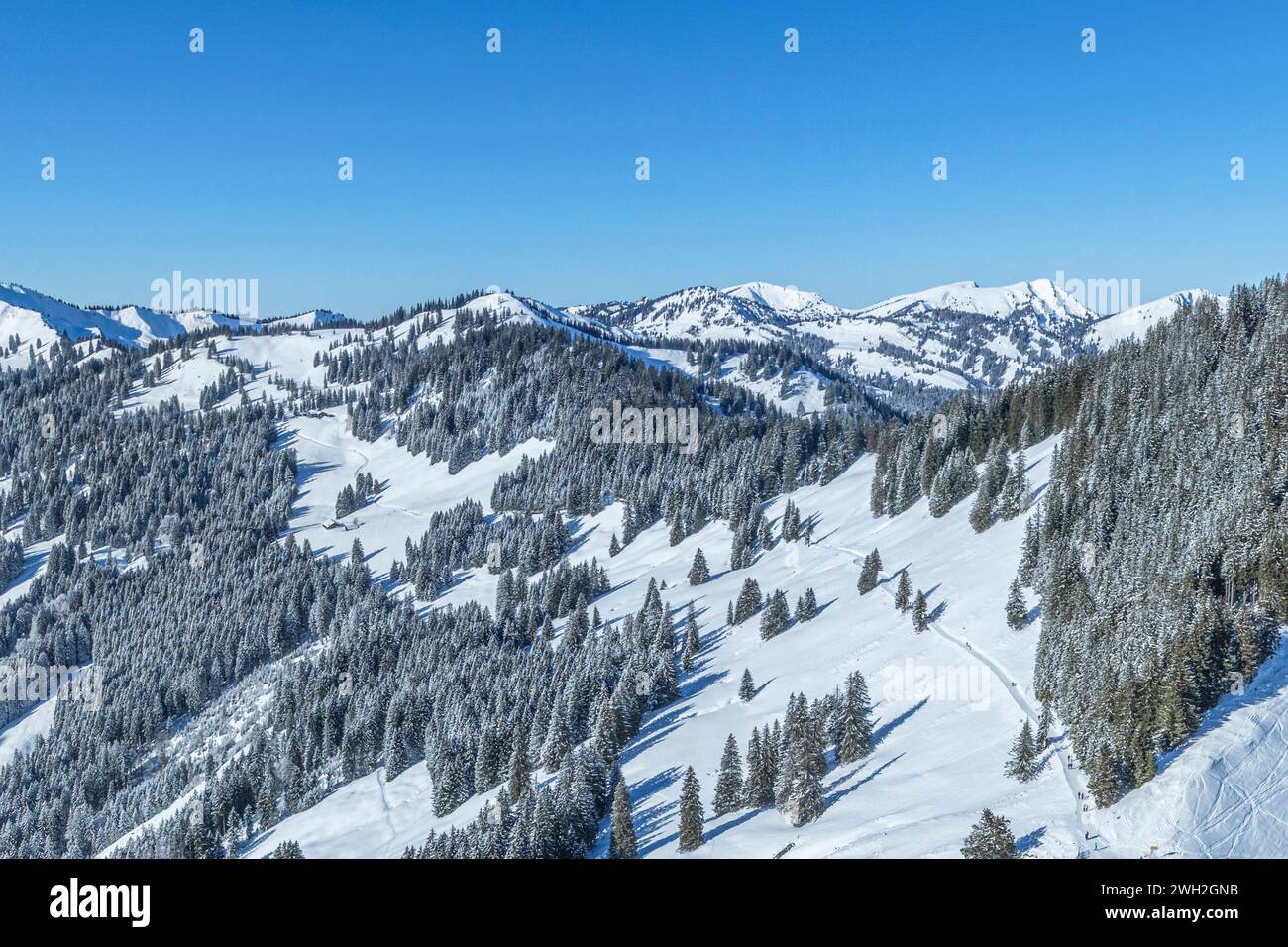 Traumwinter im Oberallgäu am Bolsterlanger Horn Ausblick auf das verschneite Allgäu rund um die Hörnerkette an Bolsterlang Bolsterlanger Horn Bayern D Stockfoto