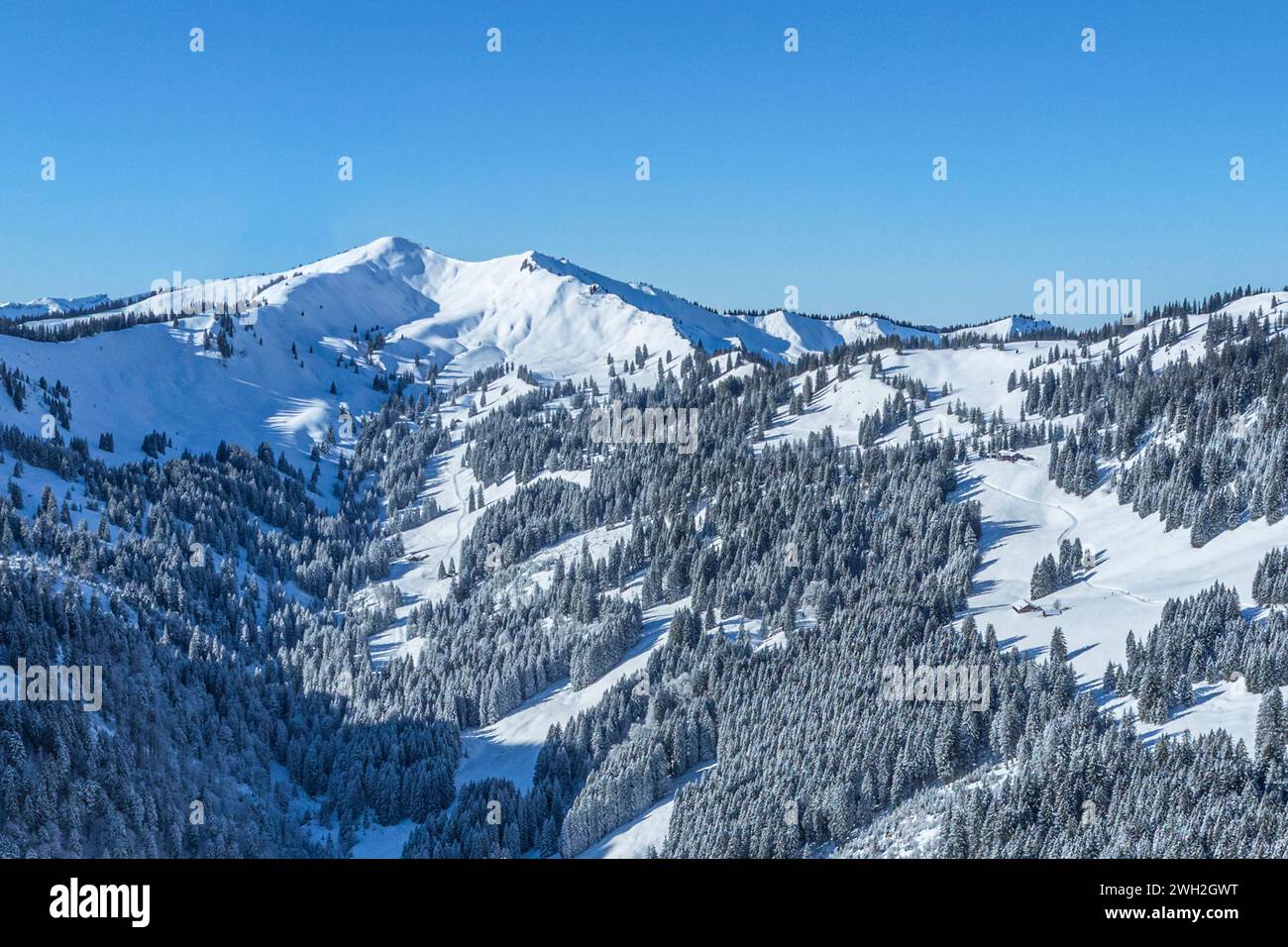 Traumwinter im Oberallgäu am Bolsterlanger Horn Ausblick auf das verschneite Allgäu rund um die Hörnerkette an Bolsterlang Bolsterlanger Horn Bayern D Stockfoto