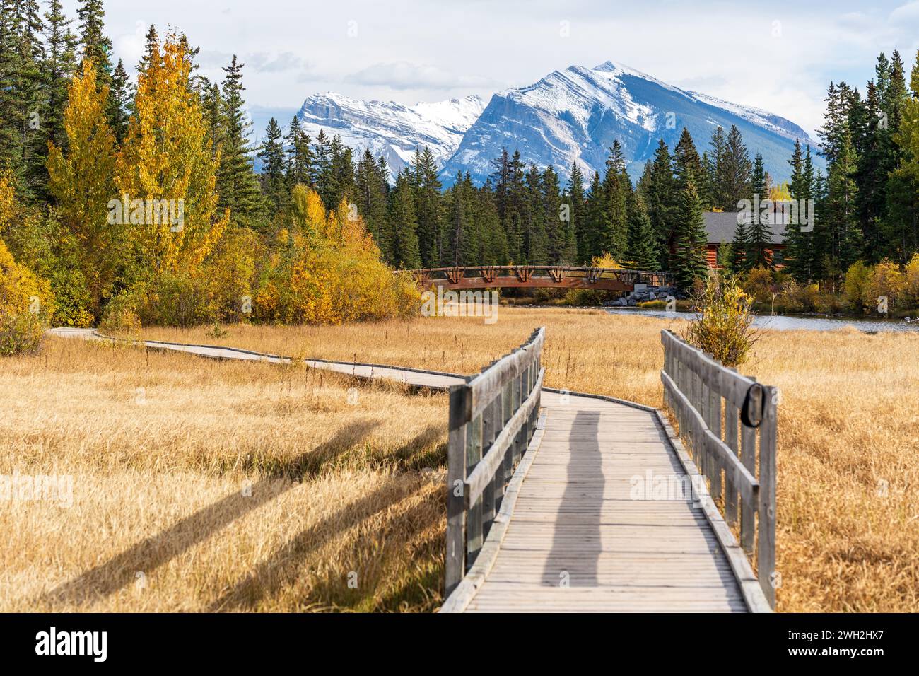 Spring Creek, Policeman Creek Boardwalk Trail in der Herbstsaison. Canmore, Alberta, Kanada. Stockfoto