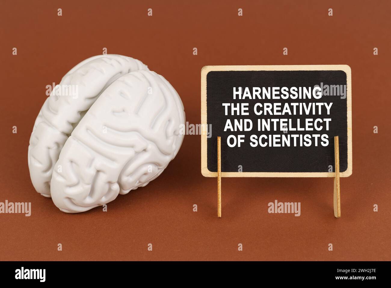Auf braunem Hintergrund, ein Modell des Gehirns und ein Schild mit der Inschrift - die Kreativität und den Intellekt der Wissenschaftler nutzbar machen. Wissenschaft und Bildung Stockfoto