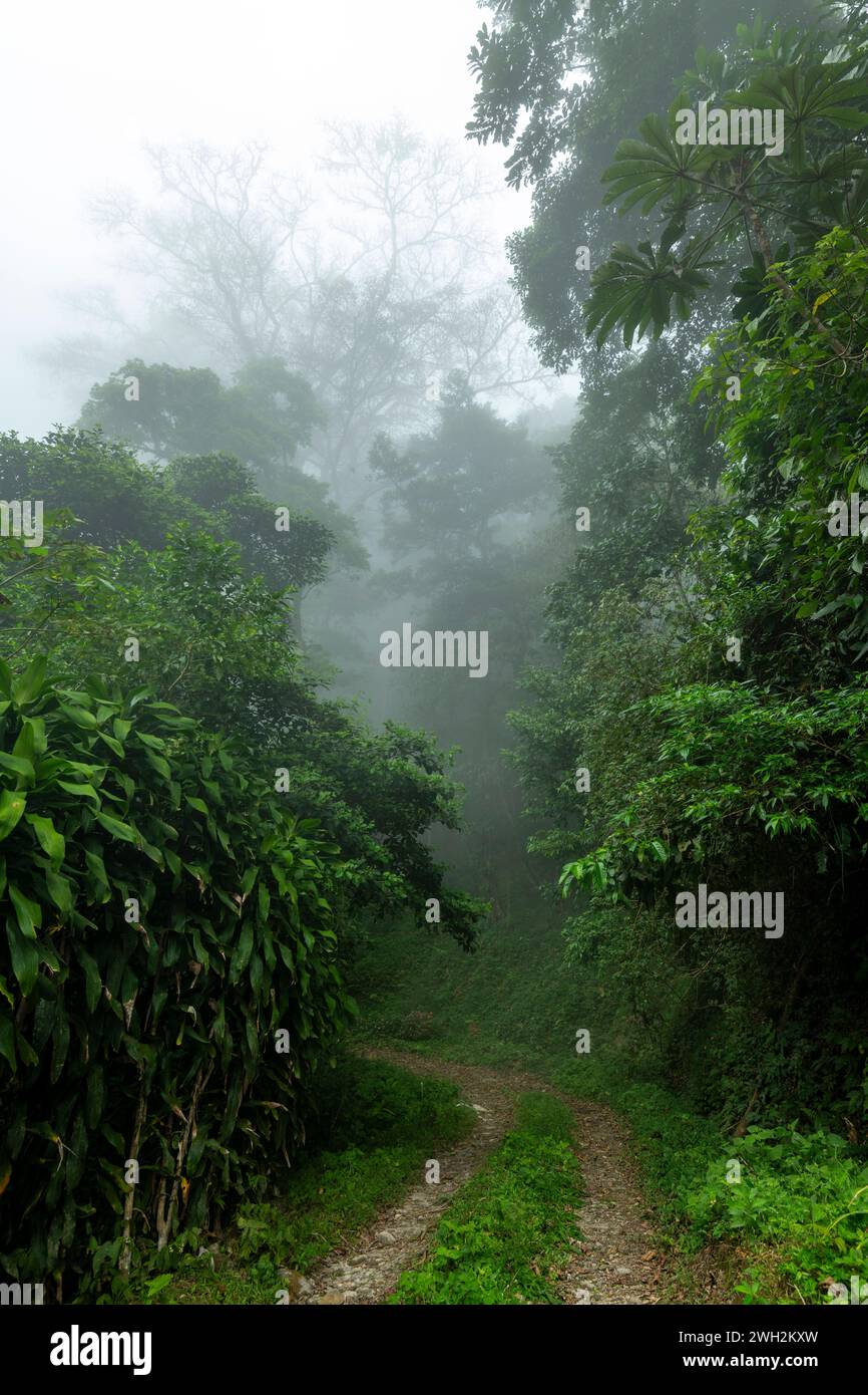 Feuchte Dirt Road im Dschungel Wald im Baru Vulkan, Provinz Chiriqui, Panama – Stockfoto Stockfoto