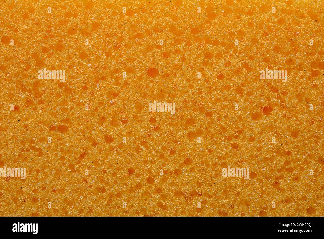 Nahaufnahme der Textur des gelben Schwammes als Hintergrund. Stockfoto