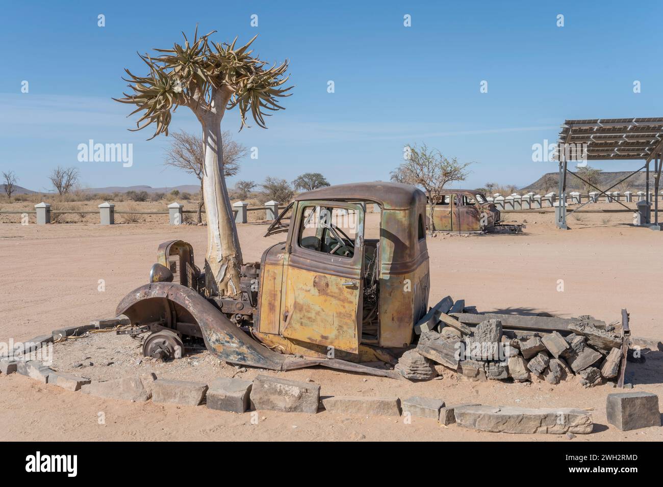 Köcherbaum und Vintage-Pickup-Körper, der durch Rost in der Ausstellung an der Tankstelle in der Wüste abgenutzt wurde, im hellen Licht des späten Frühlings im Canyon Roadhouse aufgenommen, Stockfoto