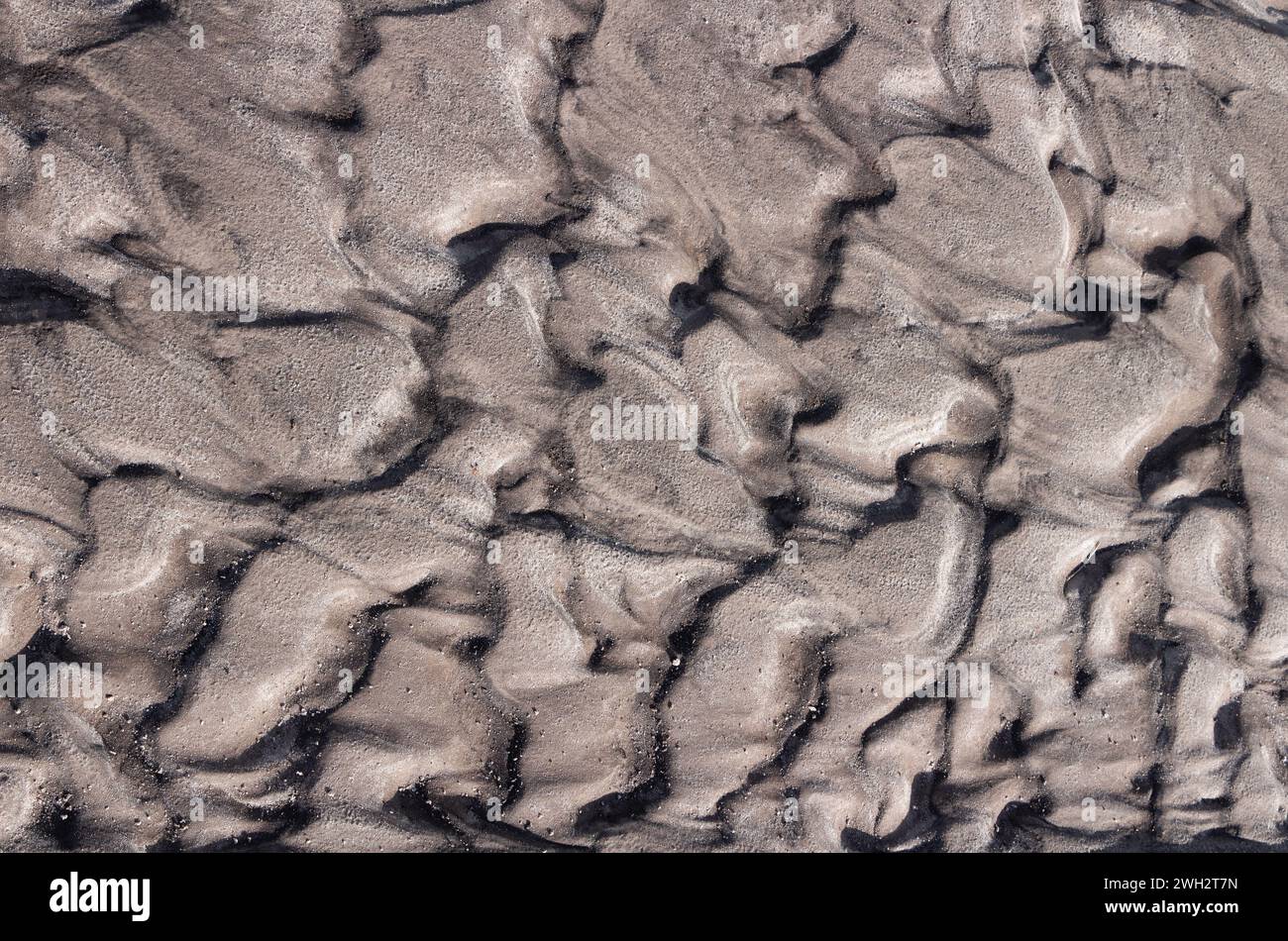 Sandstruktur. Durch Wasser gebildete, gekrümmte Sandoberfläche. Sand nach Regen. Sandige Textur für Design. Stockfoto