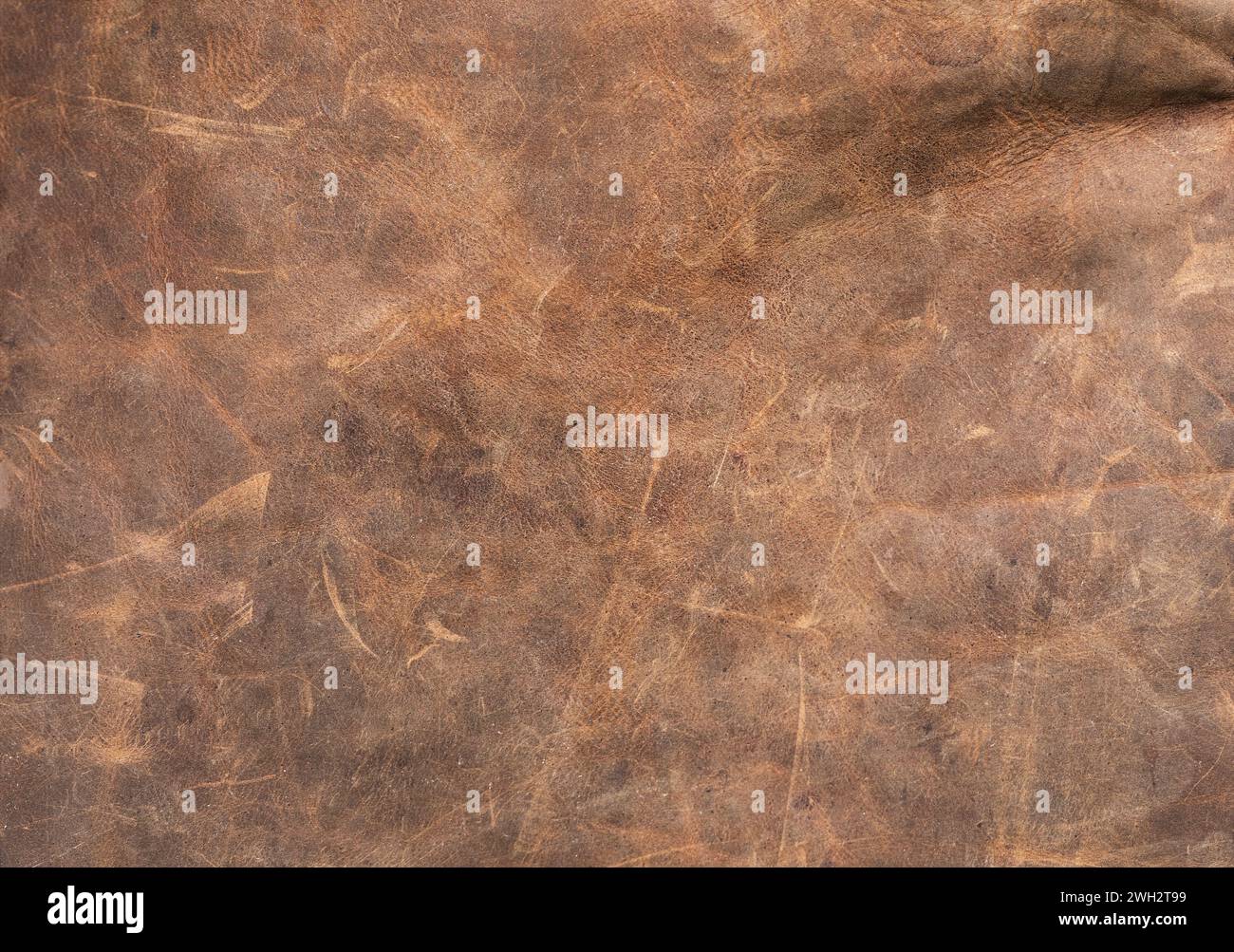 Die Textur des alten Leders. Die Nahaufbaustruktur eines Lederstücks Stockfoto