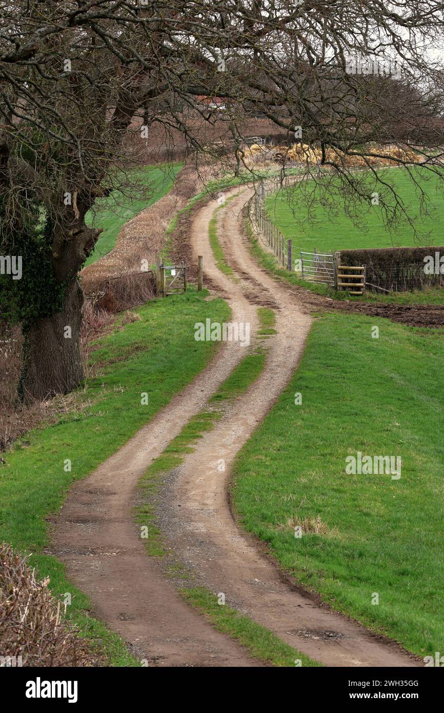 Schlängelnder Bauernhof in den Chiltern Hills in Buckinghamshire im Winter mit Tor und Hecke Stockfoto