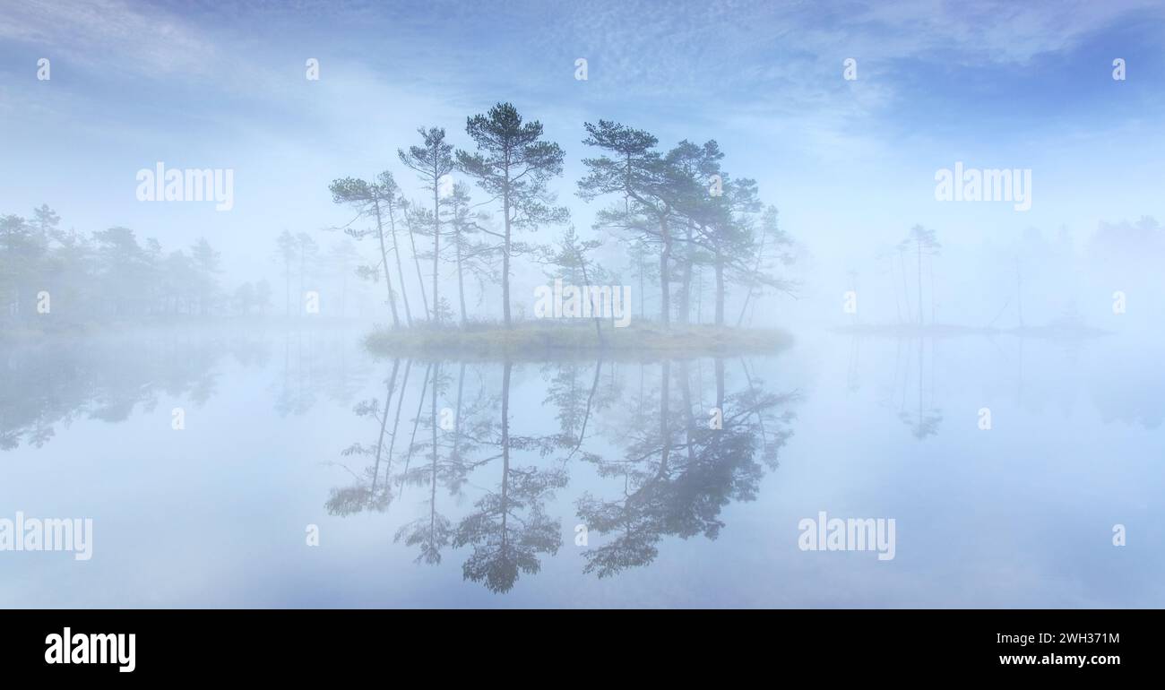 Kleine Insel mit Schottenkiefern im Morgennebel spiegelt sich im Teich von Knuthöjdsmossen, Naturschutzgebiet in der Nähe von Hällefors in Västmanland, Schweden Stockfoto