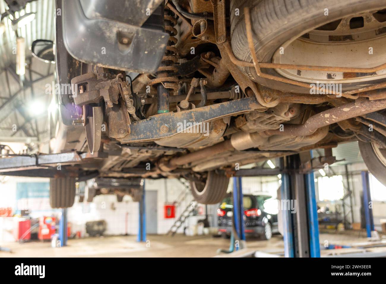 Elemente und Design der Hinterradaufhängung eines Autos. Aufhängungsarme, Federn, Stoßdämpfer. Das Fahrzeug wird auf einem Aufzug angehoben. Diagnose und Service o Stockfoto
