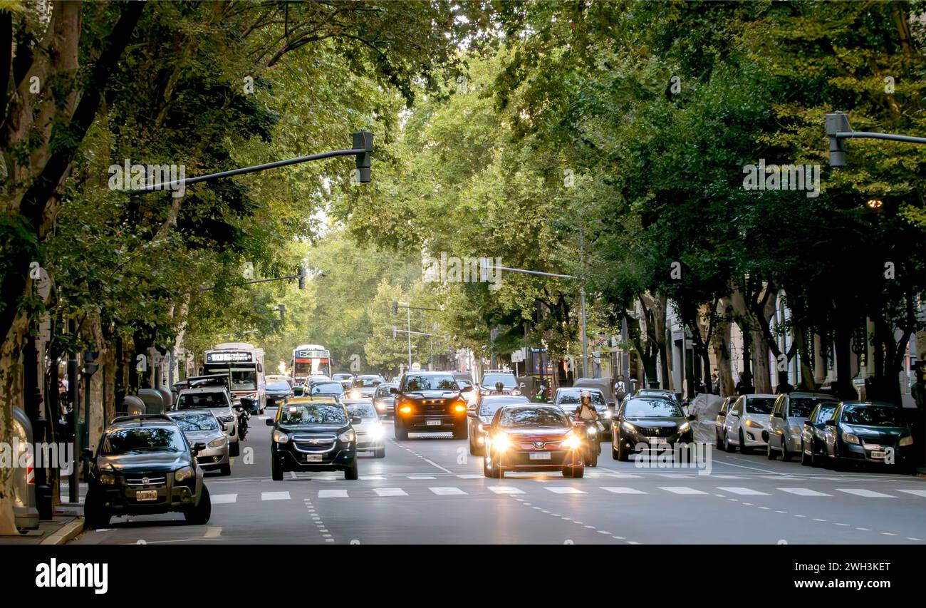 Am frühen Abend Verkehr auf der Avenida de Mayo, Buenos Aires, Argentinien Stockfoto