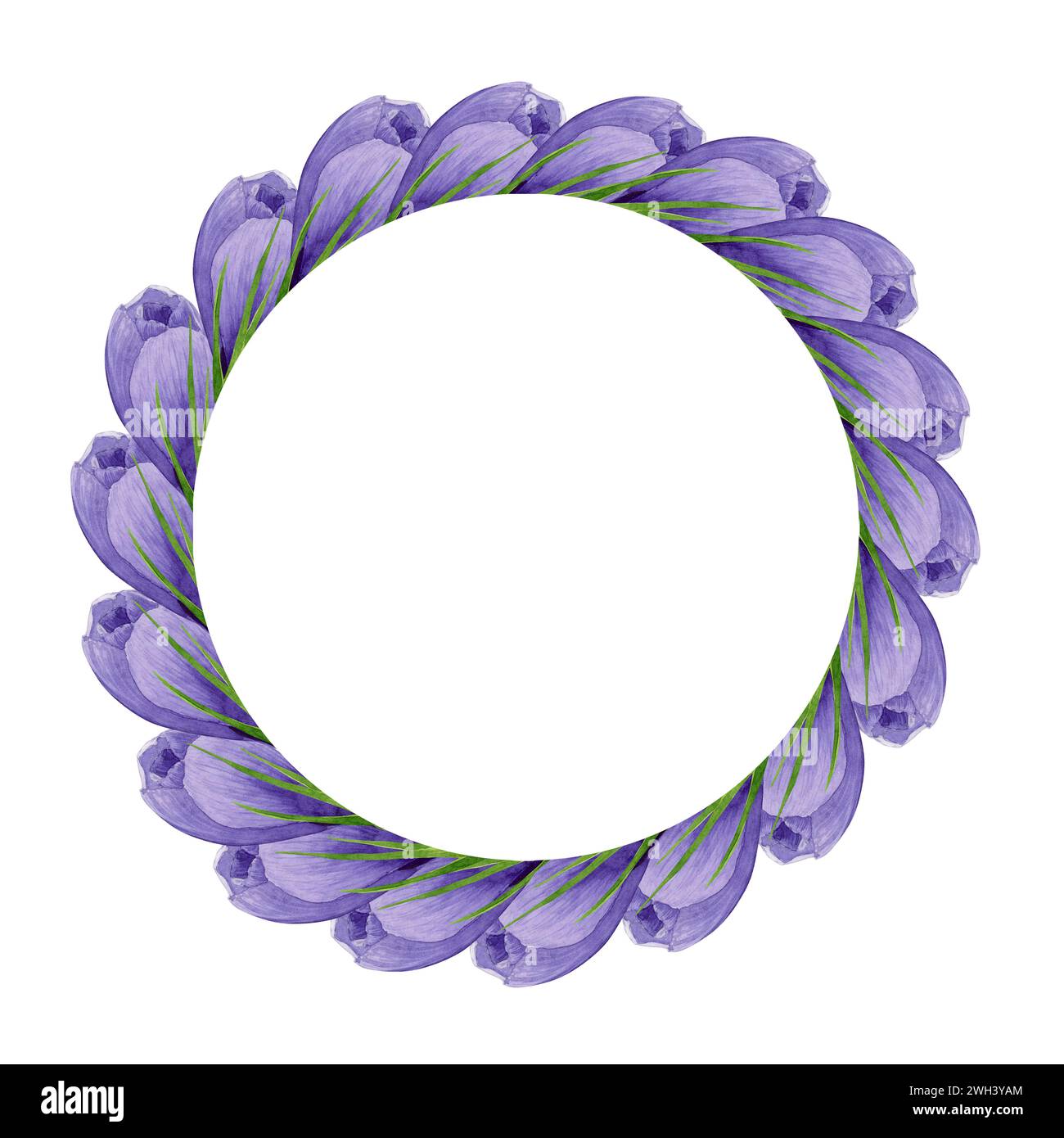 Violetter Krokuskranz, runder Rahmen mit Frühlingsblumen. Handgemalte Aquarellblume Illustration auf weißem Hintergrund Designelement für Etikett, Logo Stockfoto
