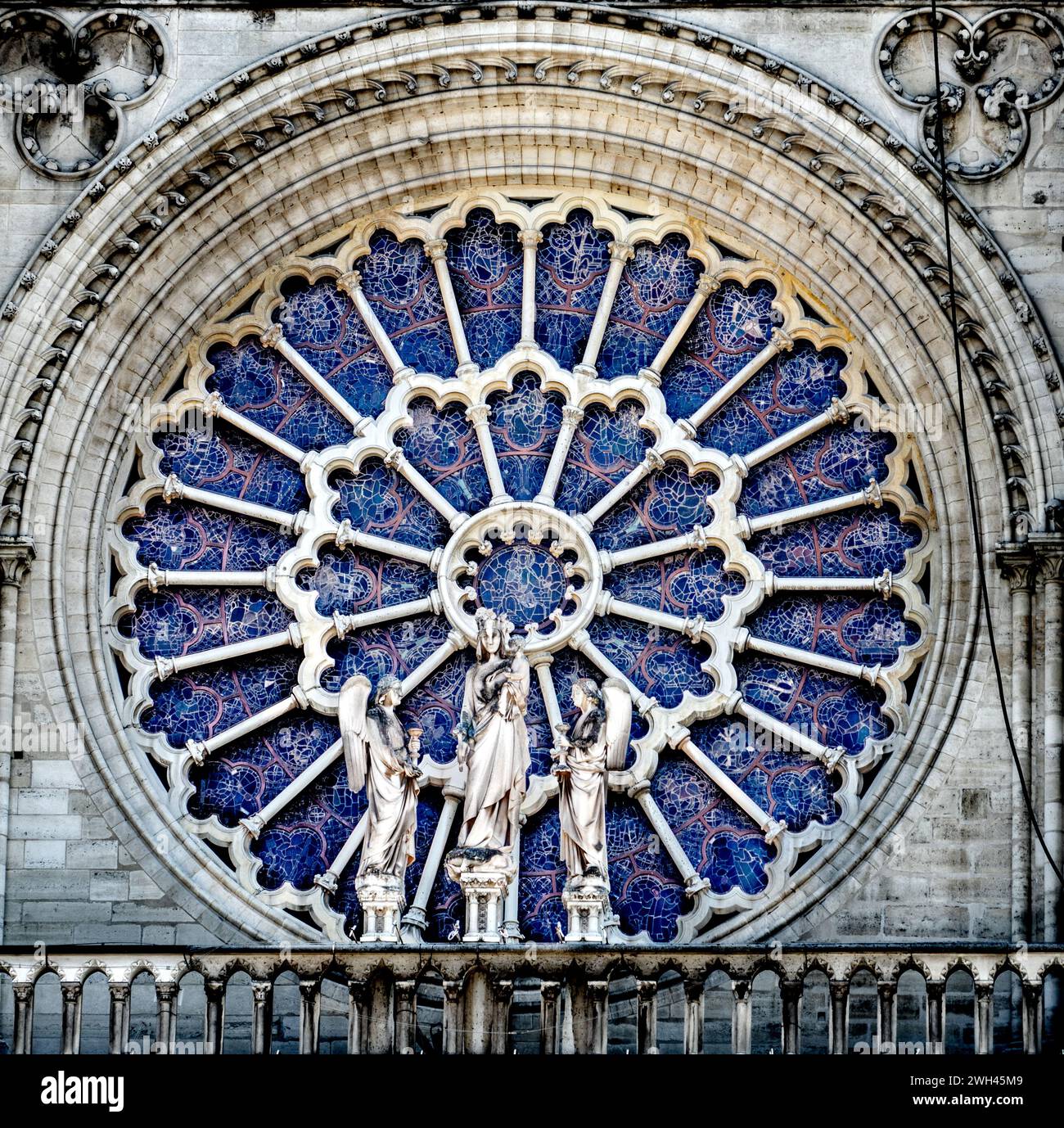 Nahaufnahme des Rosenfensters in der Kathedrale Notre Dame de Paris (unsere Lieben Frau von Paris), die nach einem verheerenden Brand vom 15. April 2019 repariert wird Stockfoto
