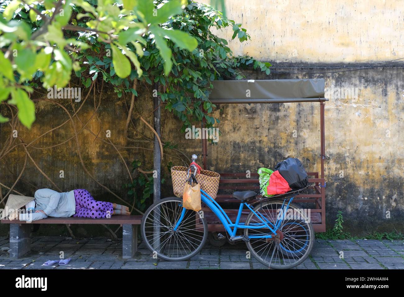 Frau mit vietnamesischem Hut schläft unter einem Baum in der historischen Stadt Hoi an, Vietnam Stockfoto