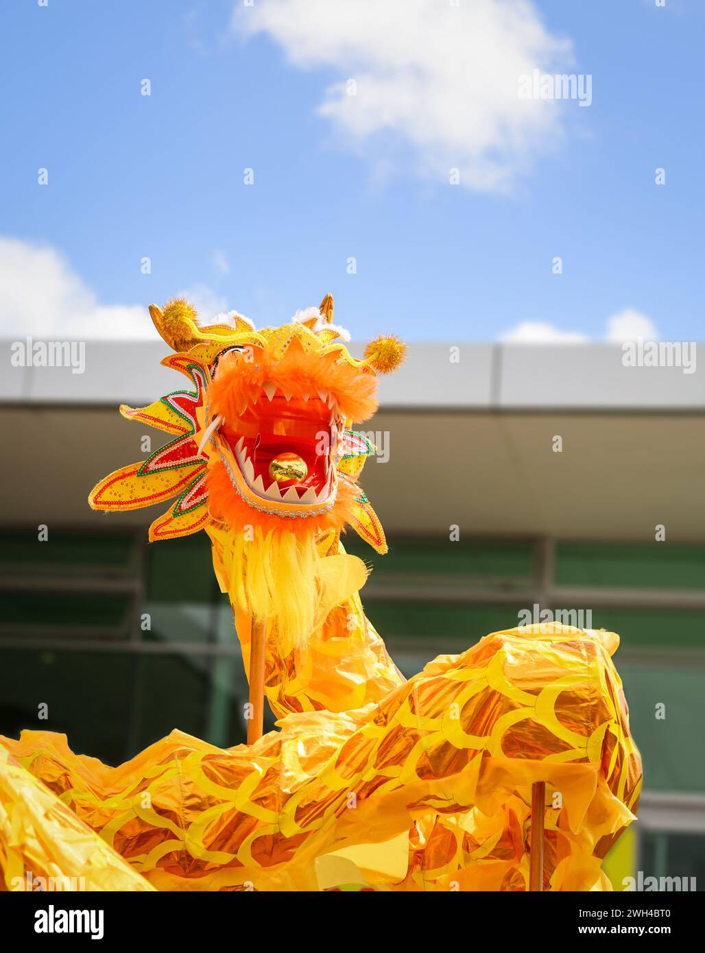 Drache mit goldener Perle im Mund. Perle mit Reflexion der Menge, die Drachentanz bei der chinesischen Neujahrsfeier beobachtet. Stockfoto