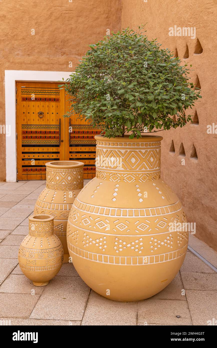Diriyah, Riad, Saudi-Arabien, Naher Osten. Topfpflanze in der Diriyah-Gegend von Riad. Stockfoto