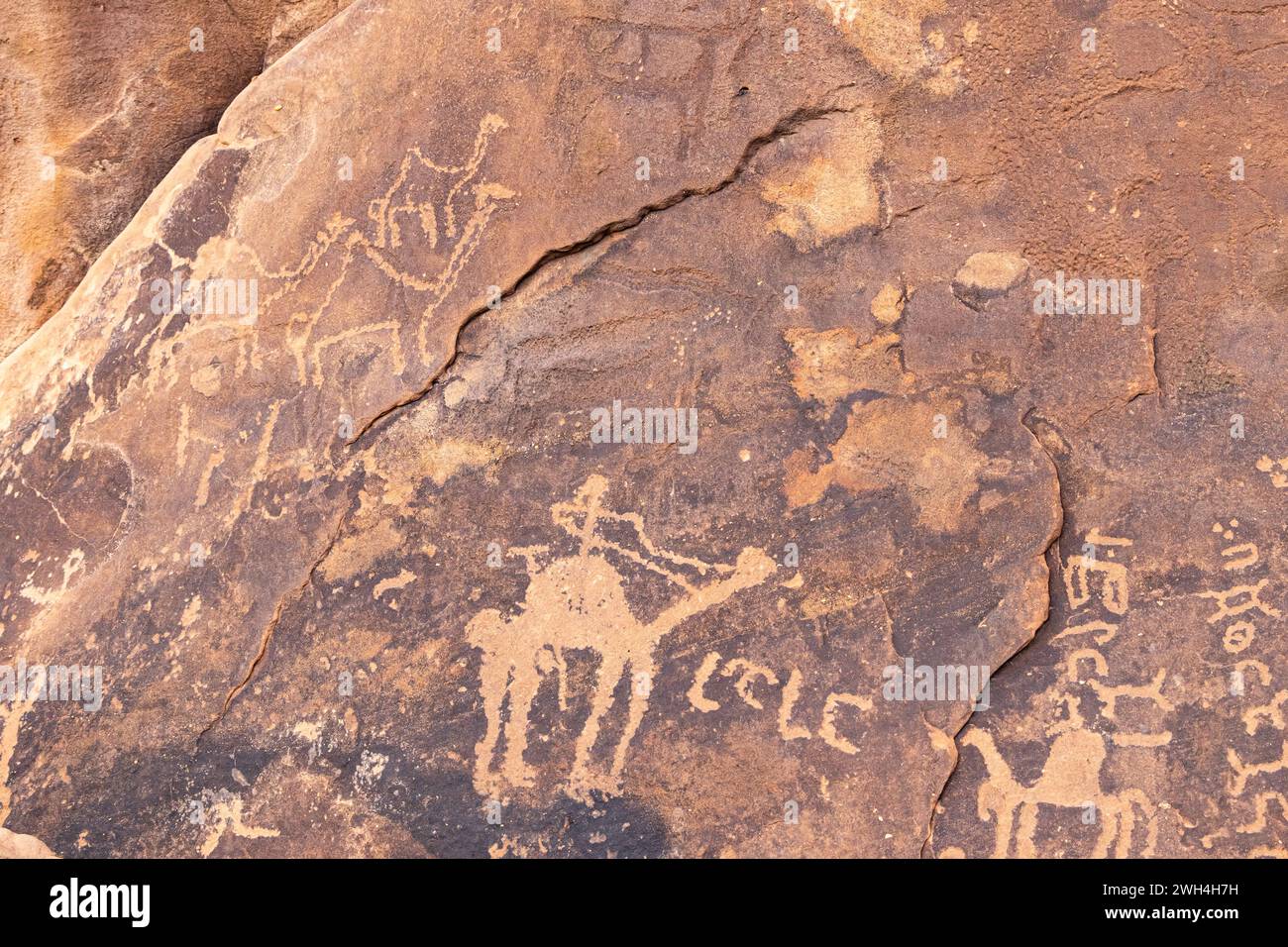 Naher Osten, Saudi-Arabien, Provinz Hail, Jubbah. Antike Petroglyphen eines Kamels an der Felskunststätte Jubbah am ob Sinman Mountain. Stockfoto