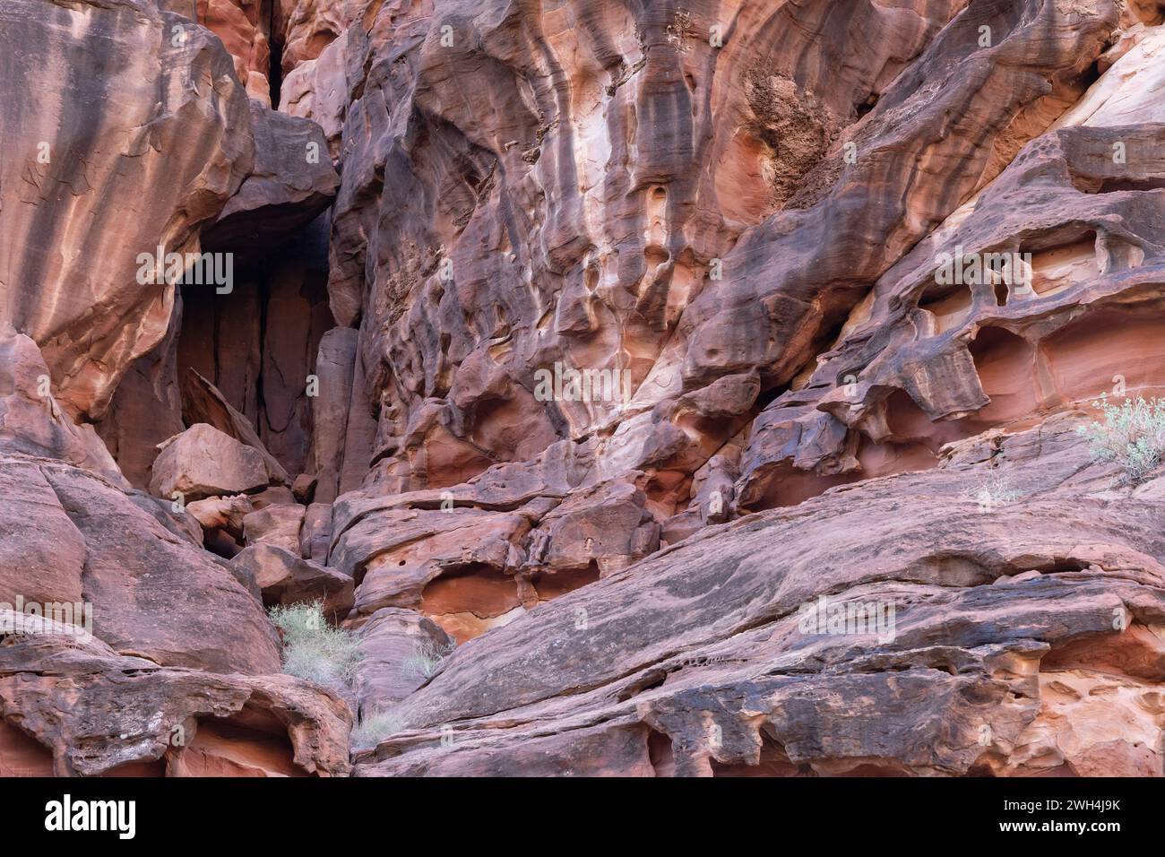 Naher Osten, Saudi-Arabien, Tabuk, Wadi Al-Disha, Prince Mohammed bin Salman Naturschutzgebiet. Wadi Al-Disha, bekannt als Grand Canyon von Saudi-Arabien Stockfoto