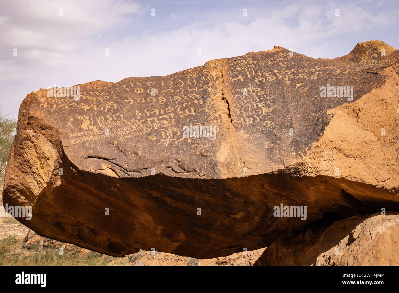 Naher Osten, Saudi-Arabien, Medina, Al-Ula. Petroglyphen im Dadan Visitor Center, Ort eines alten Königreichs. Stockfoto