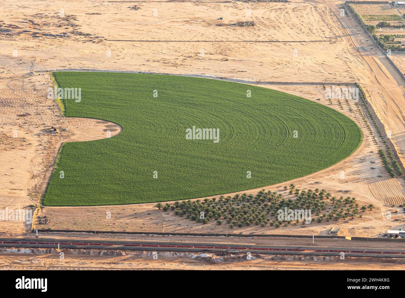 Naher Osten, Saudi-Arabien, Medina, Al-Ula. Kreisbewässerung in der saudiarabischen Wüste, von einem Heißluftballon aus gesehen. Stockfoto