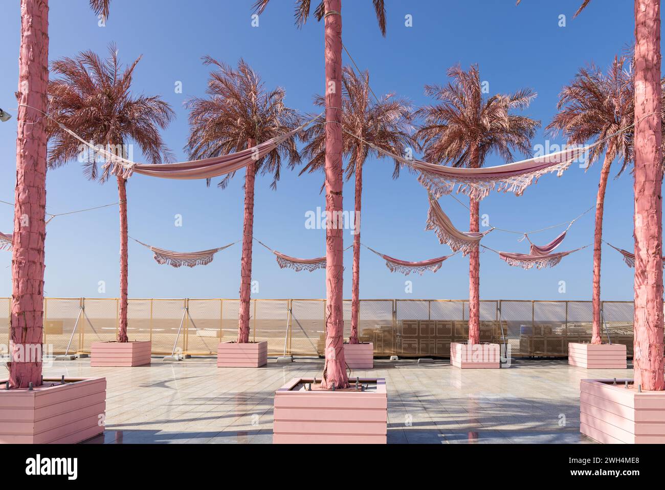 Naher Osten, Saudi-Arabien, Provinz Mekka, Dschidda. Pinkfarbene Palmen am Ufer von Dschidda. Stockfoto