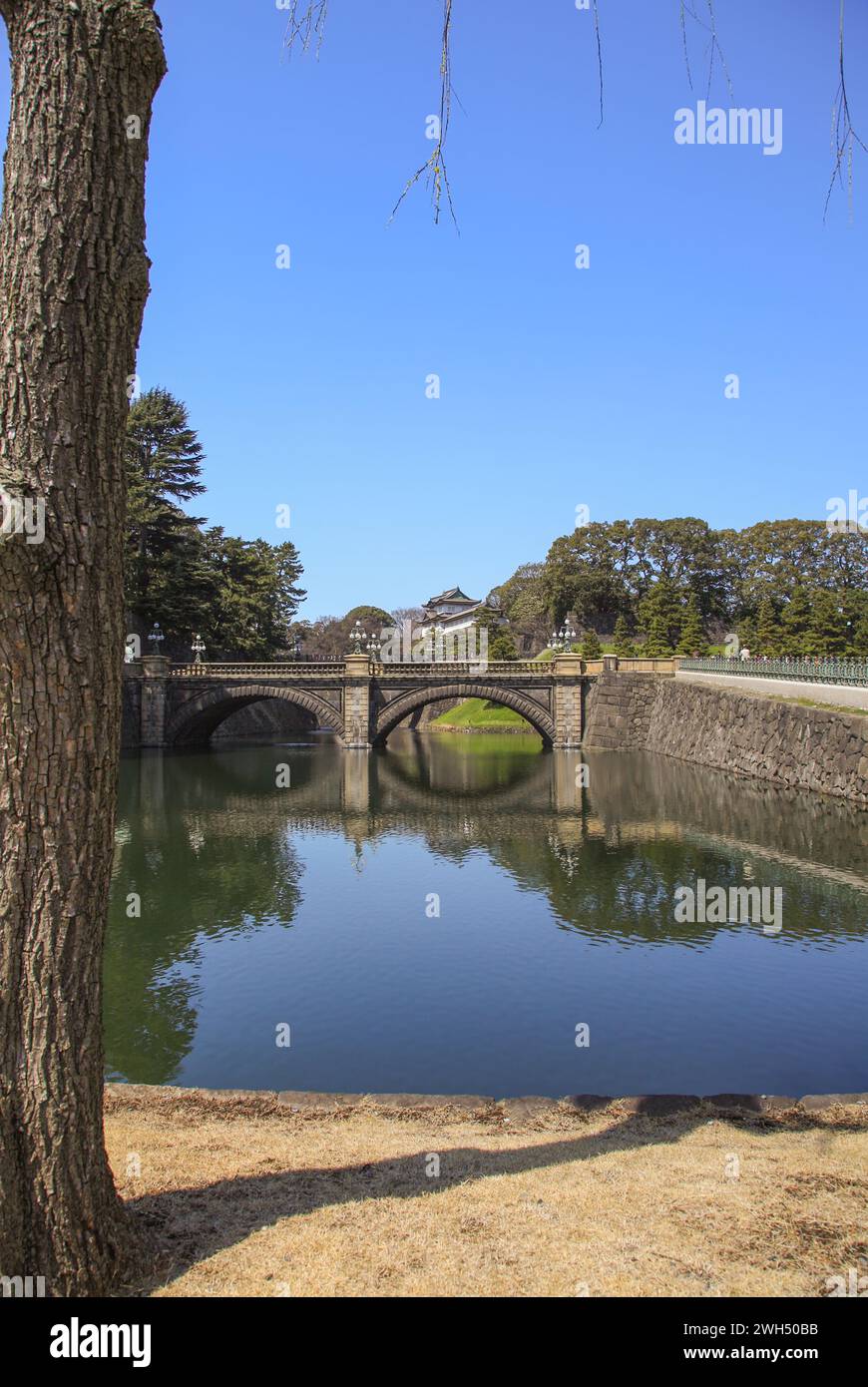 Die Nijubashi-Brücke und der Fujimi-Yagura-Turm am Japanischen Kaiserpalast in Tokio, Japan. Stockfoto