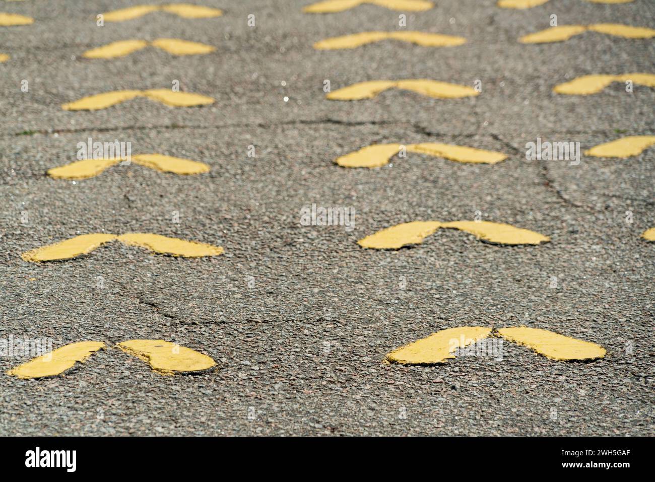Die gelben Fußabdrücke im Marine Corps Recruit Depot, Parris Island, South Carolina, USA Stockfoto