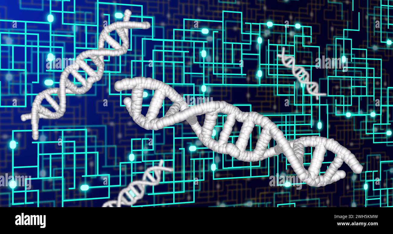 Bild der dna-Stränge über dem Netzwerk von Verbindungen Stockfoto