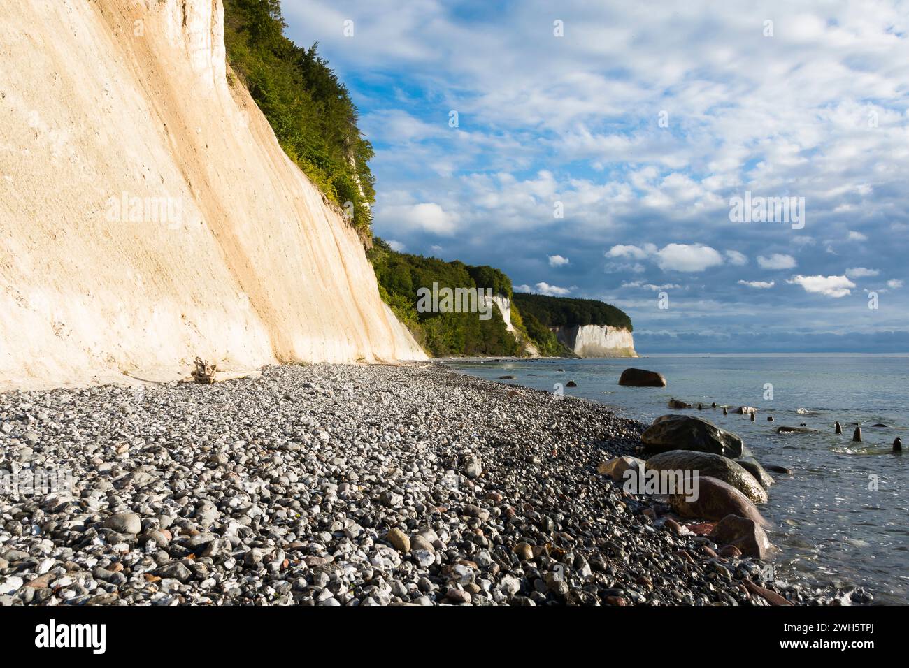 Die Kreidefelsen von Jasmund auf der deutschen Ostseeinsel Rugen. Stockfoto