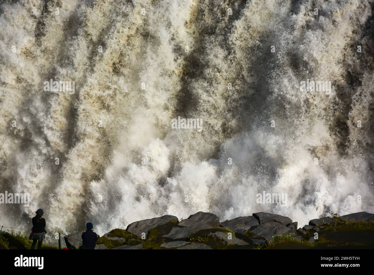 Der Wasserfall Svartifoss auf Island. Stockfoto